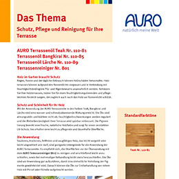 Infoblatt Das Thema